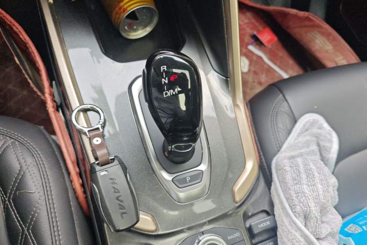Used Haval H6 2020 1.5 GDIT Automatic Platinum Luxury Edition Gear Lever