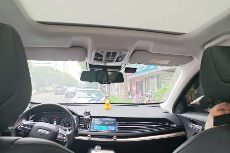 Used Haval H6 2020 1.5 GDIT Automatic Platinum Champion Edition Headliner