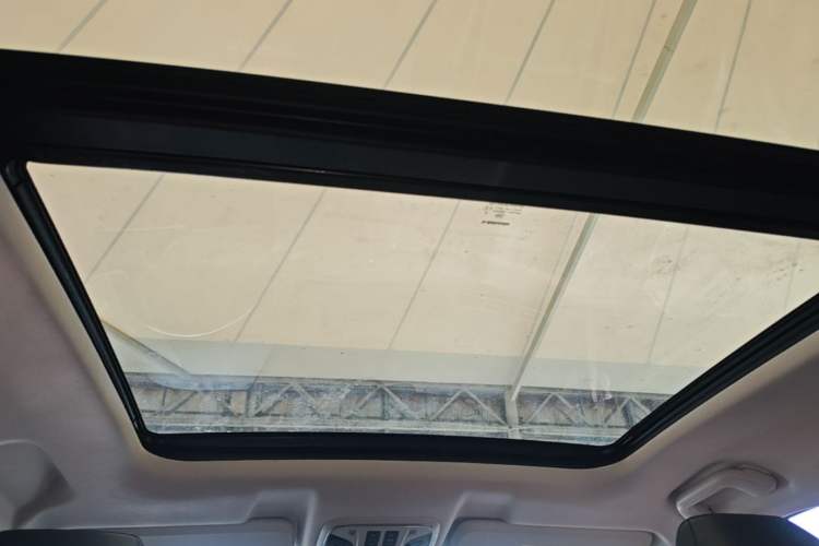 Used Haval H6 2020 1.5 GDIT Automatic Platinum Champion Edition Headliner