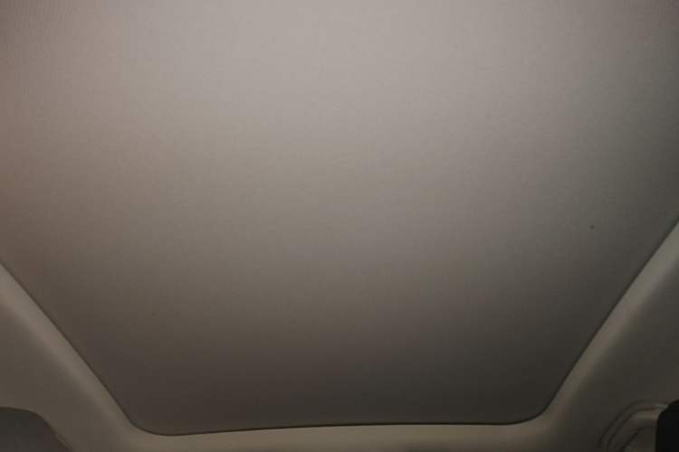 Used Haval H6 2020 2.0 GDIT Automatic Platinum Luxury Edition Headliner