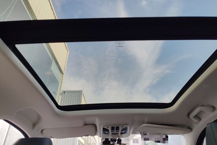 Used Haval H6 2020 1.5 GDIT Automatic Platinum Urban Edition Headliner