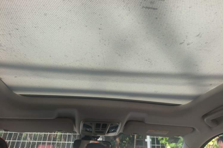 Used Haval H6 2020 1.5 GDIT Automatic Platinum Urban Edition Headliner