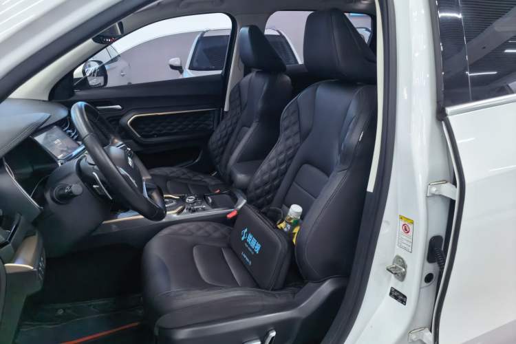 Used Haval H6 2020 2.0 GDIT Automatic Platinum Luxury Edition Left Front Seat