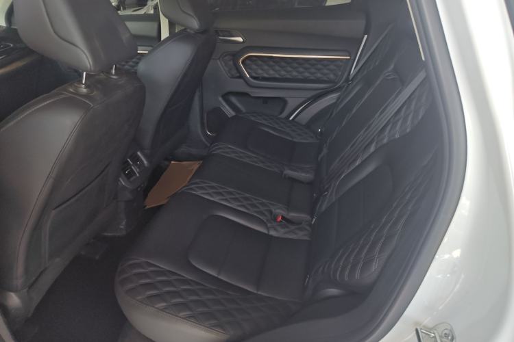 Used Haval H6 2020 1.5 GDIT Automatic Platinum Luxury Edition Left Rear Seat