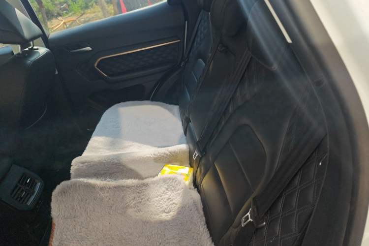 Used Haval H6 2020 2.0 GDIT Automatic Platinum Champion Edition Left Rear Seat