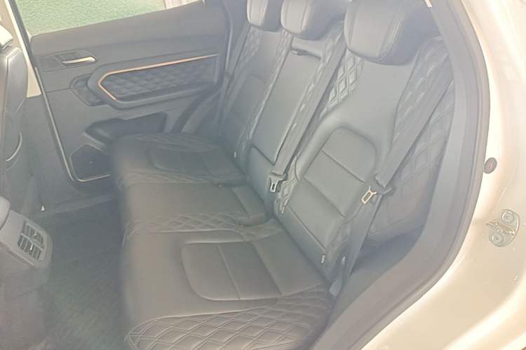 Used Haval H6 2020 1.5 GDIT Automatic Platinum Luxury Edition Left Rear Seat