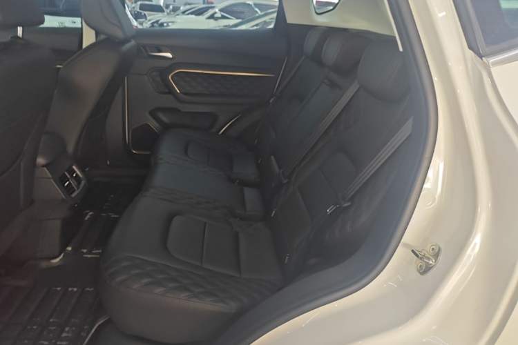Used Haval H6 2020 1.5 GDIT Automatic Platinum Champion Edition Left Rear Seat