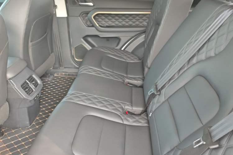 Used Haval H6 2020 1.5 GDIT Automatic Platinum Urban Edition Left Rear Seat