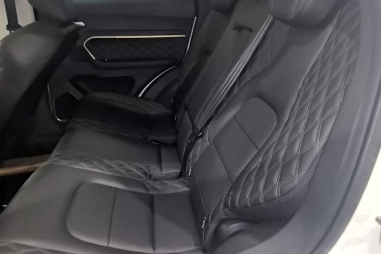 Used Haval H6 2020 2.0 GDIT Automatic Platinum Champion Edition Left Rear Seat