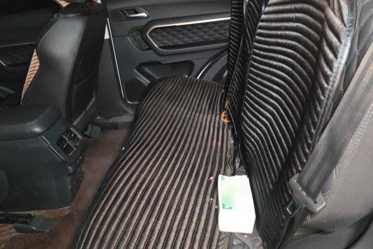 Used Haval H6 2020 1.5 GDIT Automatic Platinum Luxury Edition Left Rear Seat