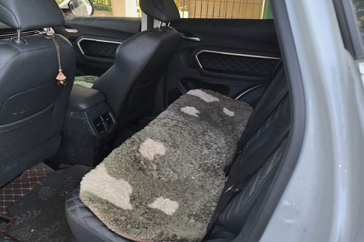 Used Haval H6 2020 1.5 GDIT Automatic Platinum Champion Edition Left Rear Seat