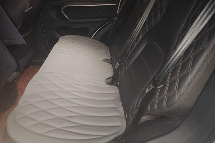 Used Haval H6 2020 2.0 GDIT Automatic Platinum Luxury Edition Left Rear Seat