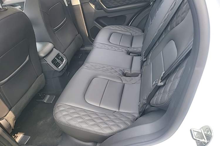 Used Haval H6 2020 1.5 GDIT Automatic Platinum Urban Edition Left Rear Seat