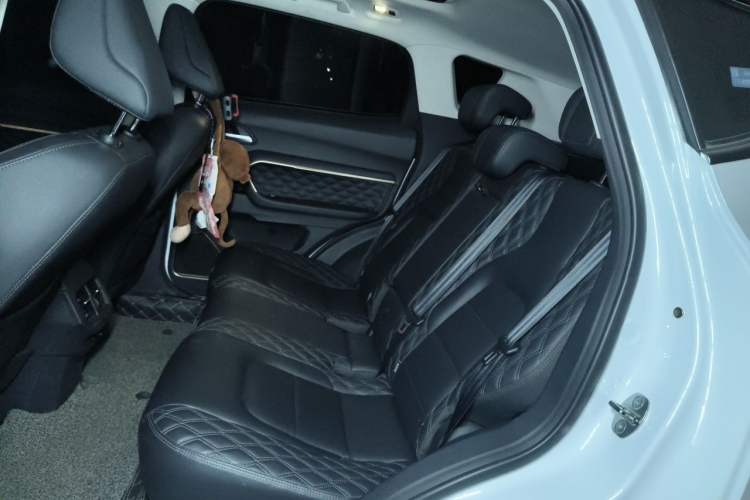 Used Haval H6 2020 1.5 GDIT Automatic Platinum Luxury Edition Left Rear Seat