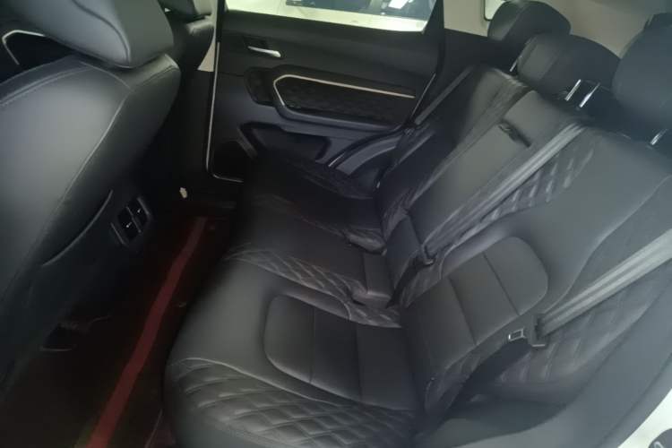 Used Haval H6 2020 1.5 GDIT Automatic Platinum Luxury Edition Left Rear Seat