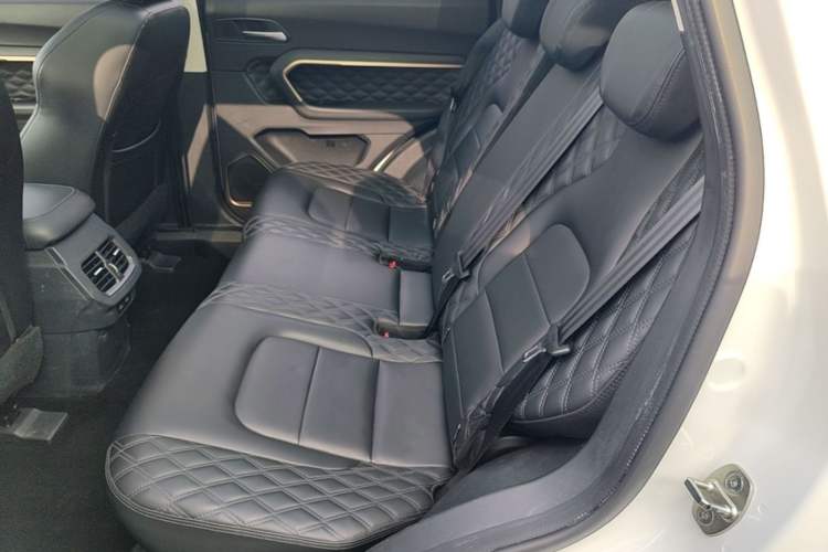 Used Haval H6 2020 1.5 GDIT Automatic Platinum Urban Edition Left Rear Seat