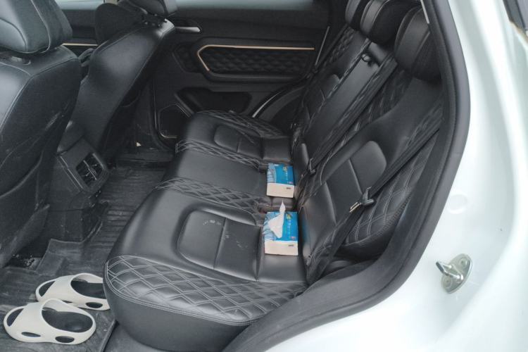 Used Haval H6 2020 2.0 GDIT Automatic Platinum Luxury Edition Left Rear Seat