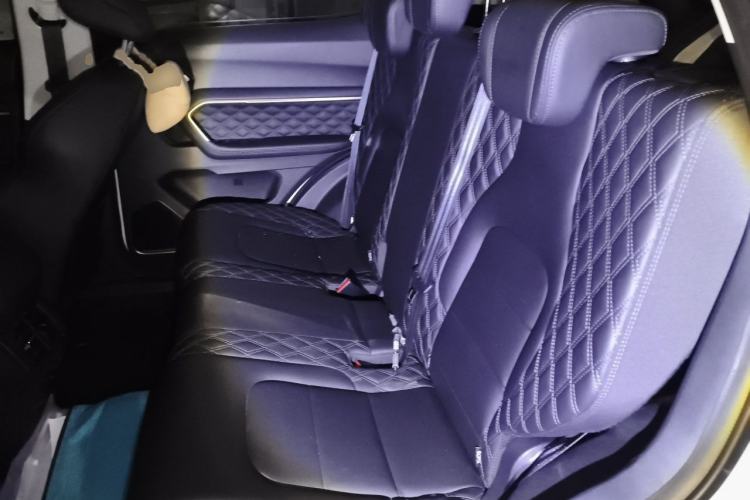 Used Haval H6 2020 1.5 GDIT Automatic Platinum Urban Edition Left Rear Seat