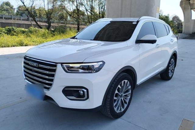 Haval H6 2020 1.5 GDIT Automatic Platinum Champion Edition usata