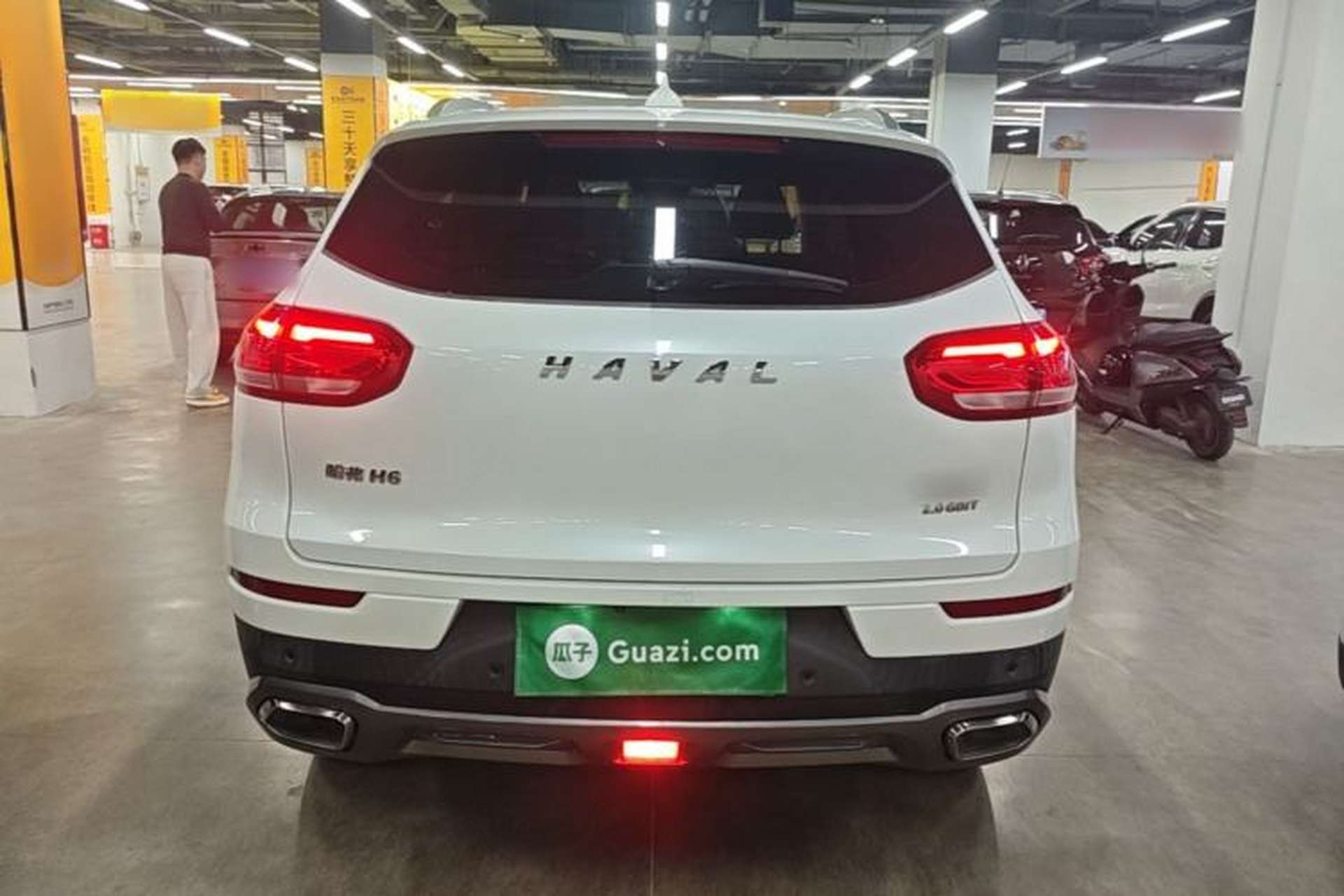 Used Haval H6 2020 2.0 GDIT Automatic Platinum Champion Edition Rear