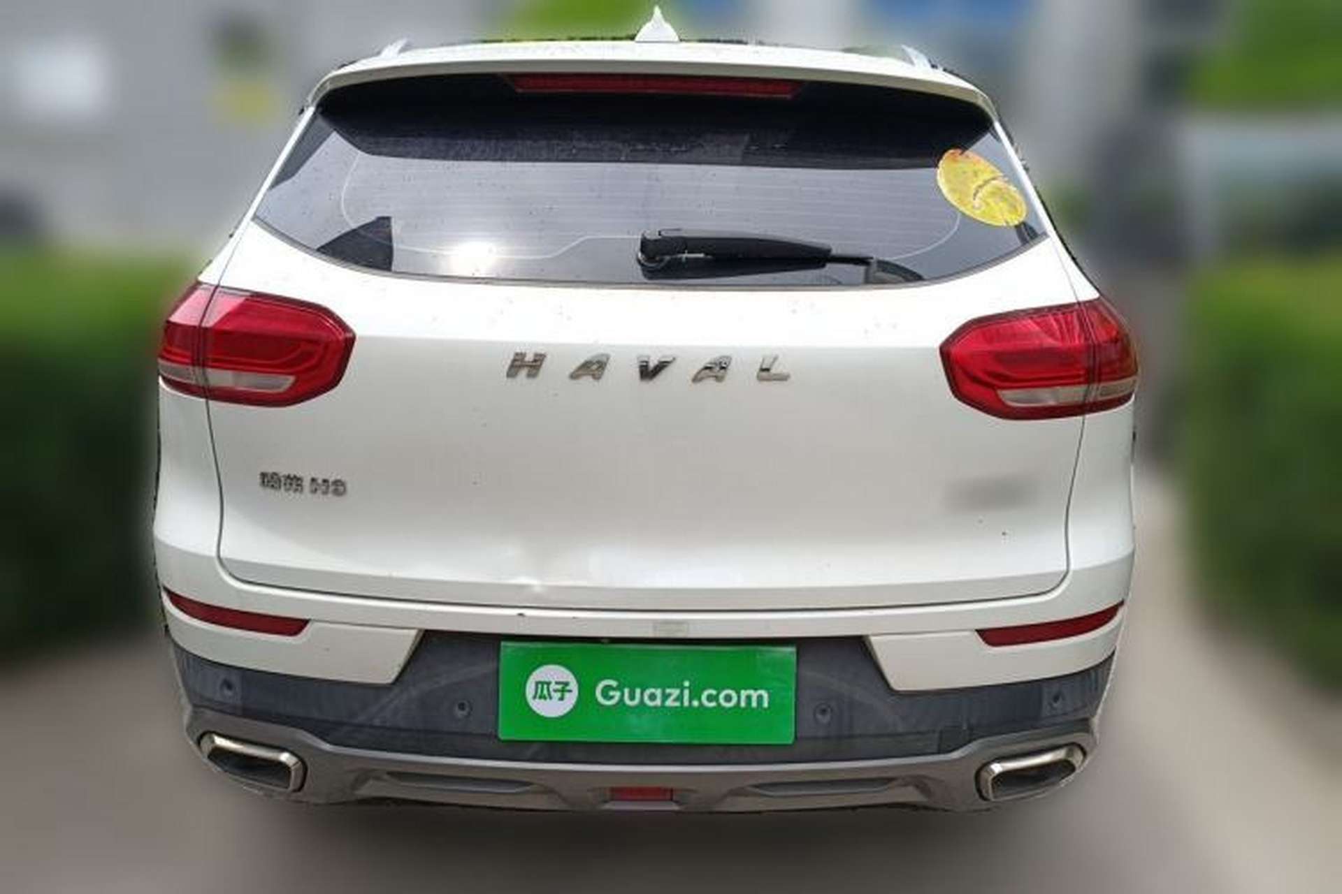 Used Haval H6 2020 1.5 GDIT Automatic Platinum Champion Edition Rear