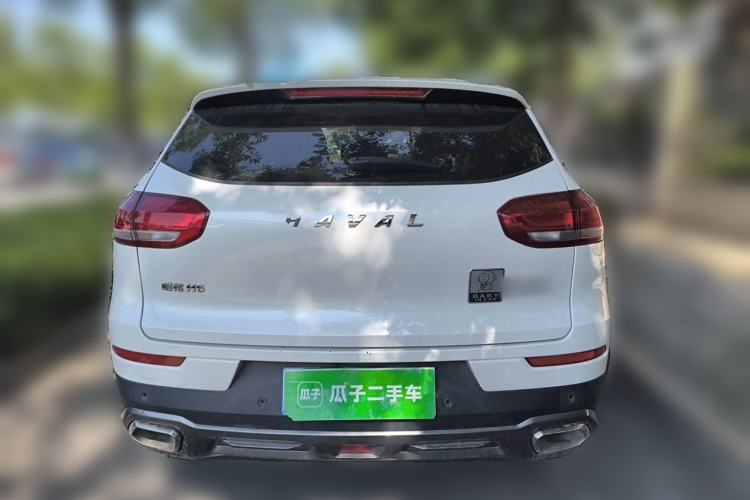 Used Haval H6 2020 1.5 GDIT Automatic Platinum Champion Edition Rear