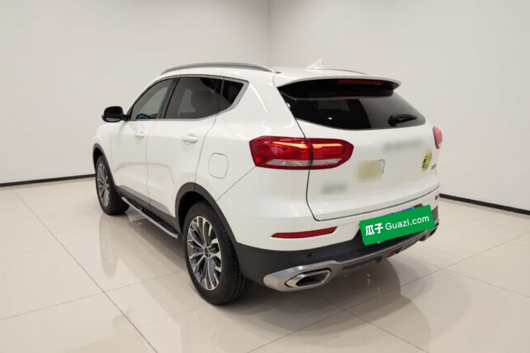 Used Haval H6 2020 1.5 GDIT Automatic Platinum Luxury Edition Rear Left 45 Deg