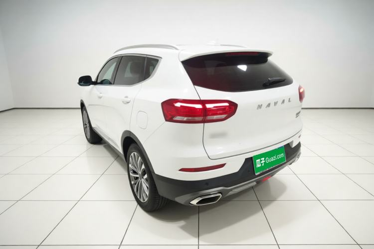 Used Haval H6 2020 2.0 GDIT Automatic Platinum Champion Edition Rear Left 45 Deg