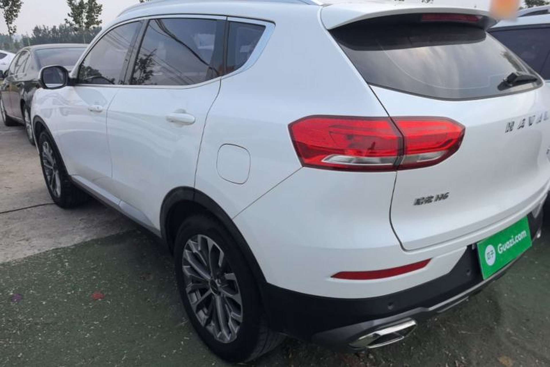 Used Haval H6 2020 1.5 GDIT Automatic Platinum Champion Edition Rear Left 45 Deg