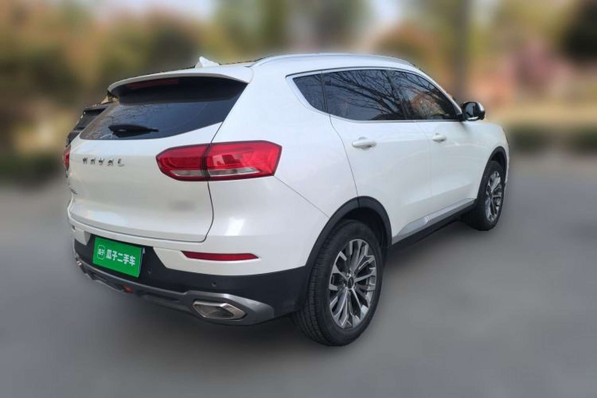 Used Haval H6 2020 1.5 GDIT Automatic Platinum Champion Edition Rear Right 45 Deg