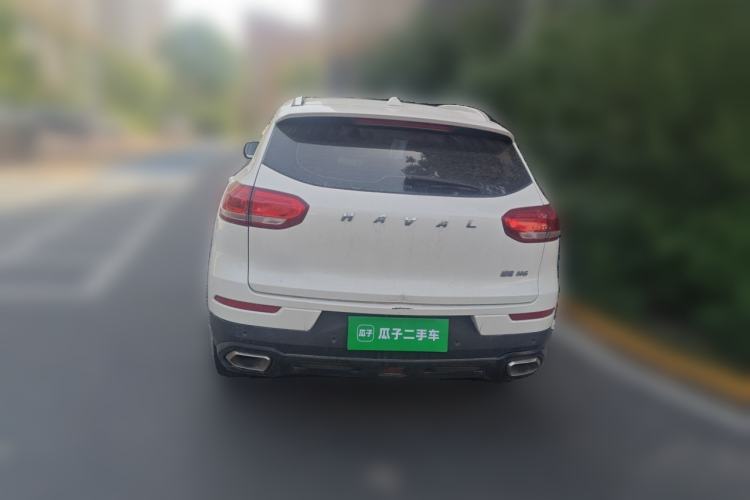 Used Haval H6 2020 1.5 GDIT Automatic Platinum Luxury Edition Rear
