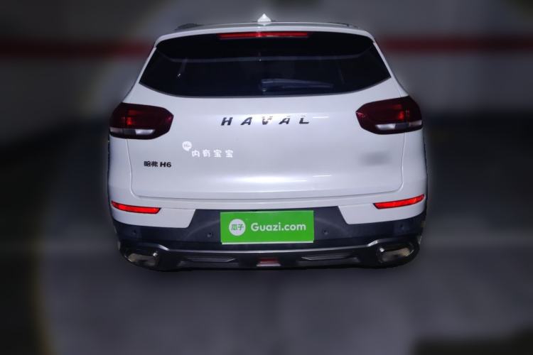 Used Haval H6 2020 1.5 GDIT Automatic Platinum Champion Edition Rear