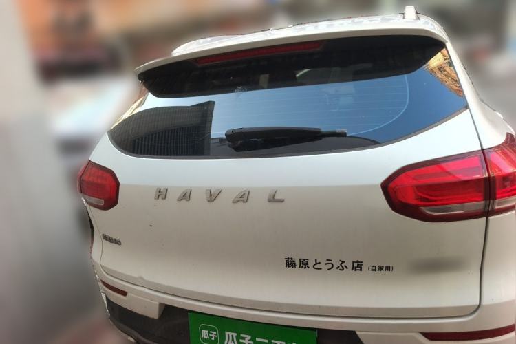Used Haval H6 2020 1.5 GDIT Automatic Platinum Champion Edition Rear