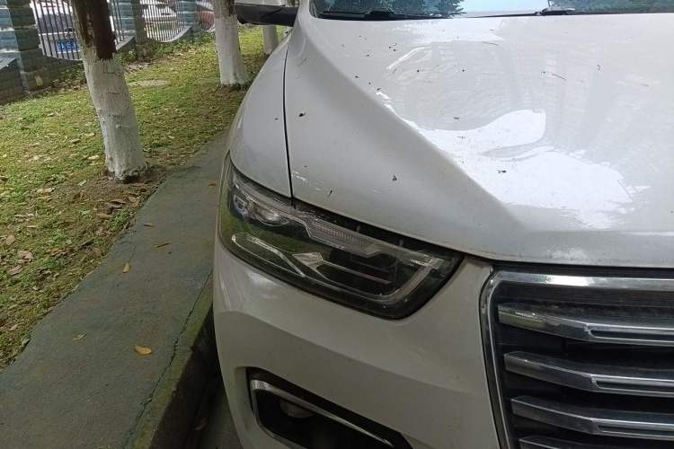 Used Haval H6 2020 1.5 GDIT Automatic Platinum Champion Edition Right Front Headlight