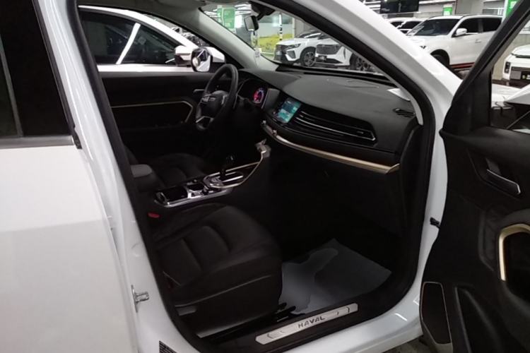Used Haval H6 2020 1.5 GDIT Automatic Platinum Urban Edition Right Front Seat