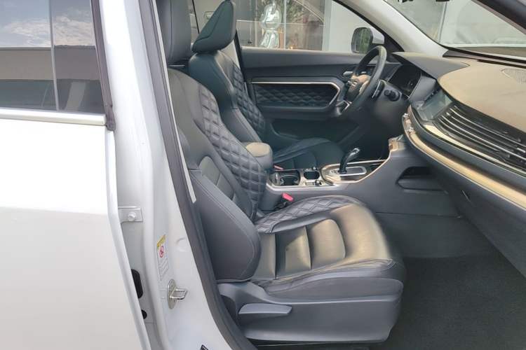 Used Haval H6 2020 1.5 GDIT Automatic Platinum Urban Edition Right Front Seat