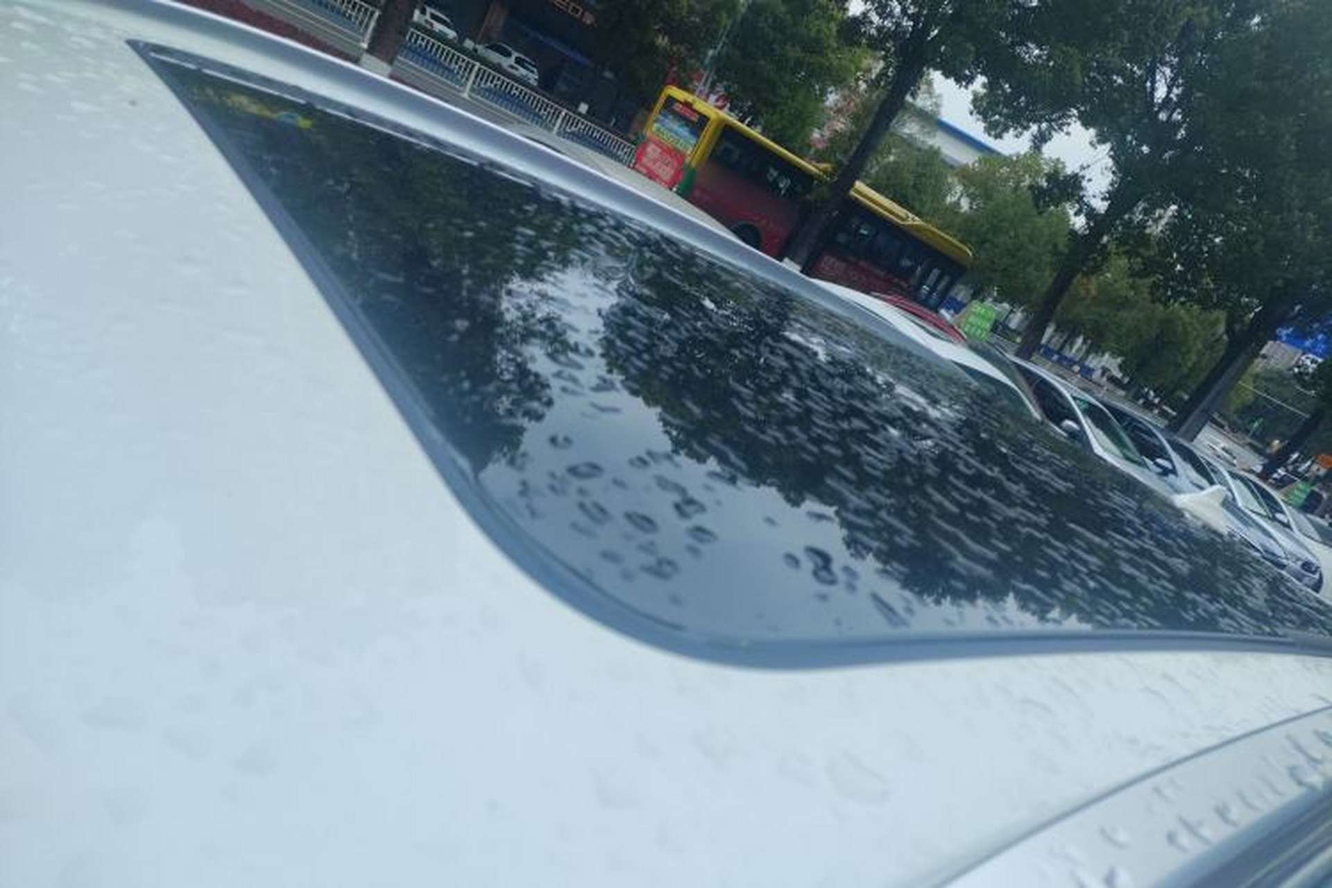 Used Haval H6 2020 1.5 GDIT Automatic Platinum Champion Edition Roof