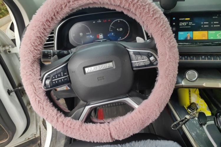 Used Haval H6 2020 1.5 GDIT Automatic Platinum Champion Edition Steering Wheel
