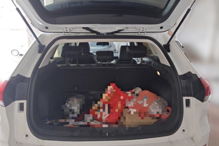Used Haval H6 2020 1.5 GDIT Automatic Platinum Champion Edition Trunk