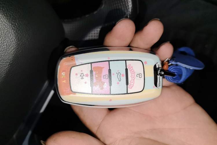 Used Haval H6 2020 1.5 GDIT Automatic Platinum Champion Edition Vehicle Key