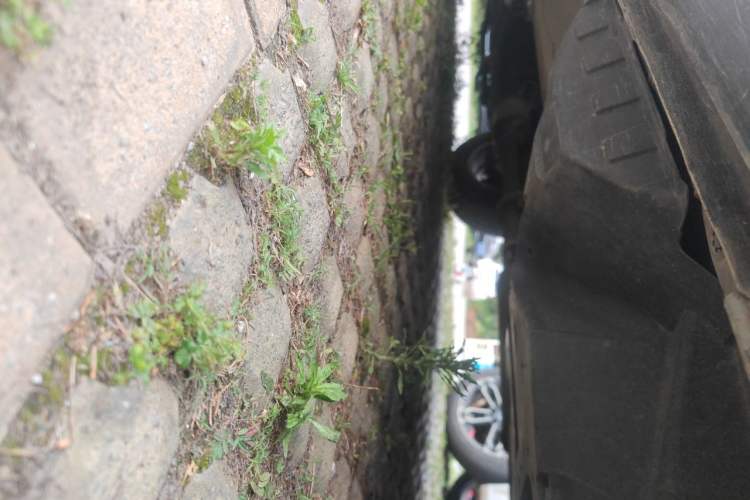 Used Haval H6 2021 1.5T Automatic Urban Edition Chassis Rear Left