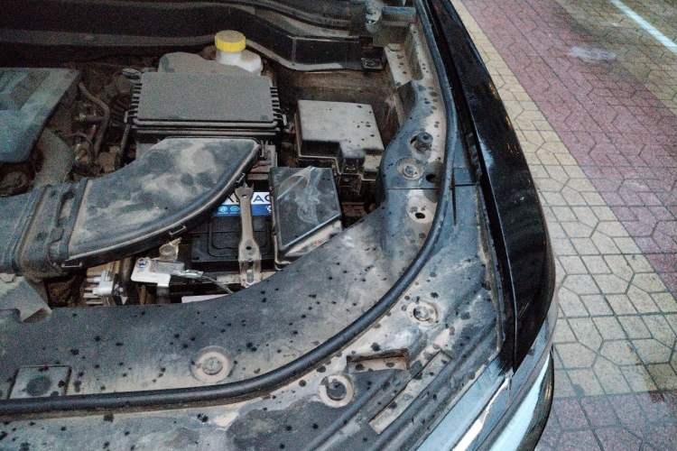 Used Haval H6 2021 China Trend Edition 1.5 GDIT Automatic Champion Version Engine Bay Left