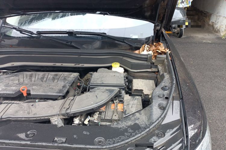 Used Haval H6 2021 1.5T Automatic Champion Edition Engine Bay Left