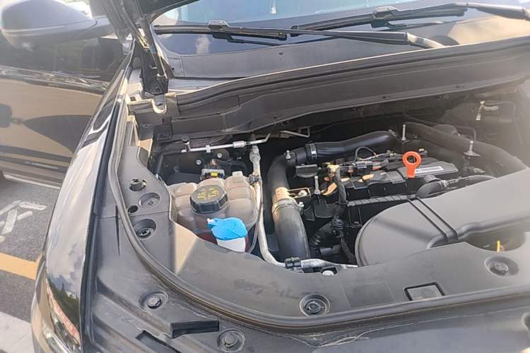 Used Haval H6 2021 China Trend Edition 1.5 GDIT Automatic Champion Version Engine Bay Right