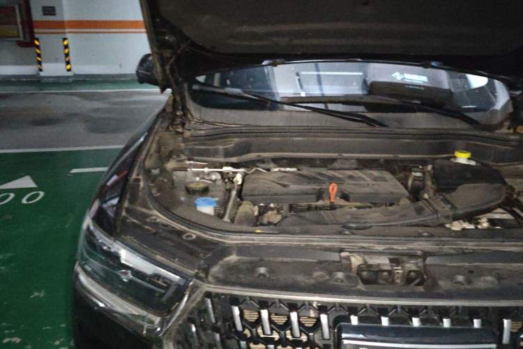 Used Haval H6 2021 China Trend Edition 1.5 GDIT Automatic Champion Version Engine Bay Right