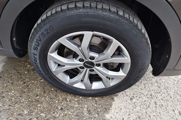 Used Haval H6 2021 National Trend Edition 1.5T Automatic Champion Version Exterior 6