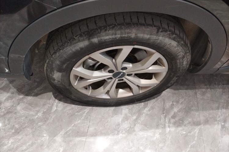 Used Haval H6 2021 National Trend Edition 1.5T Automatic Champion Version Exterior 7