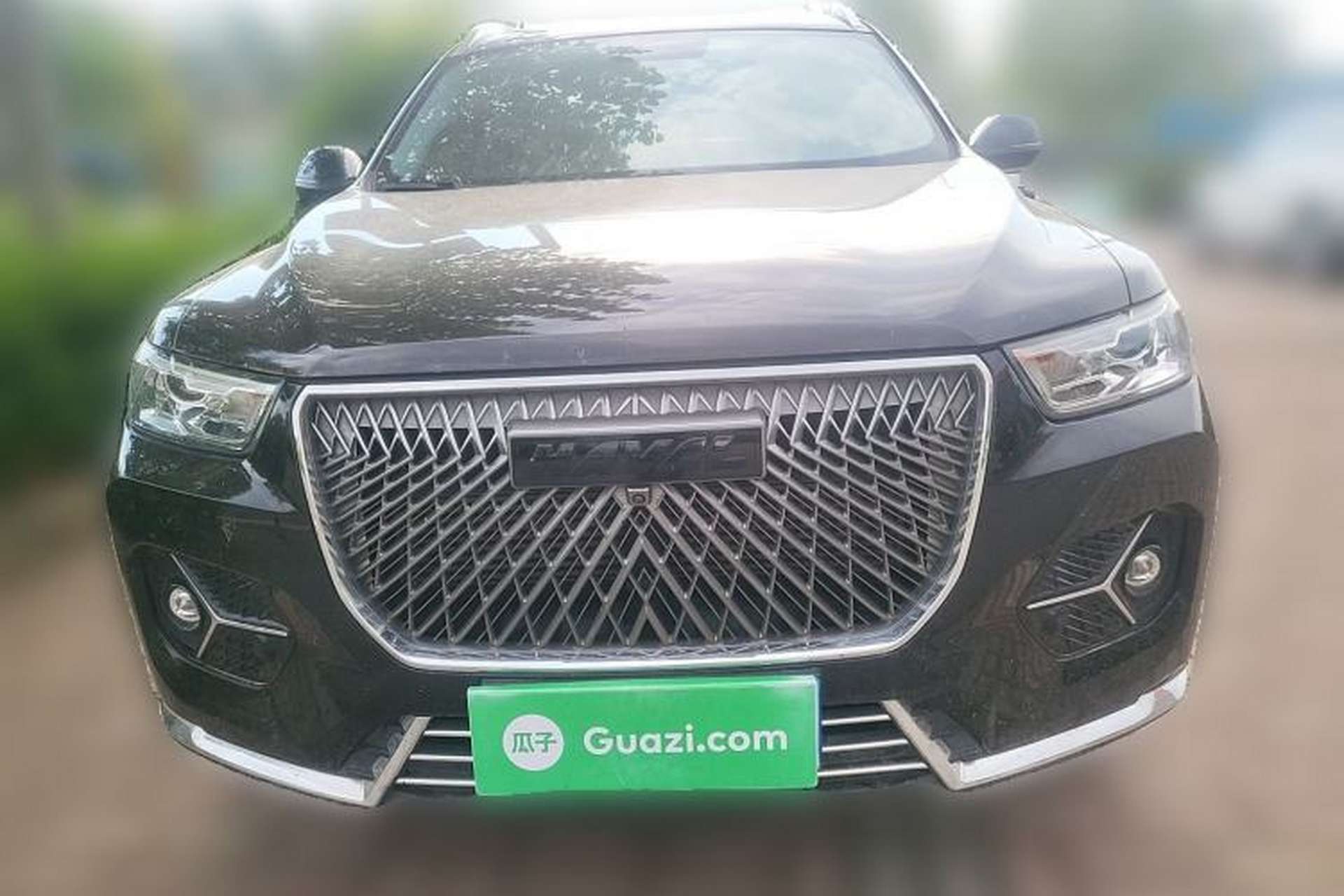 Used Haval H6 2021 1.5T Automatic Champion Edition Front