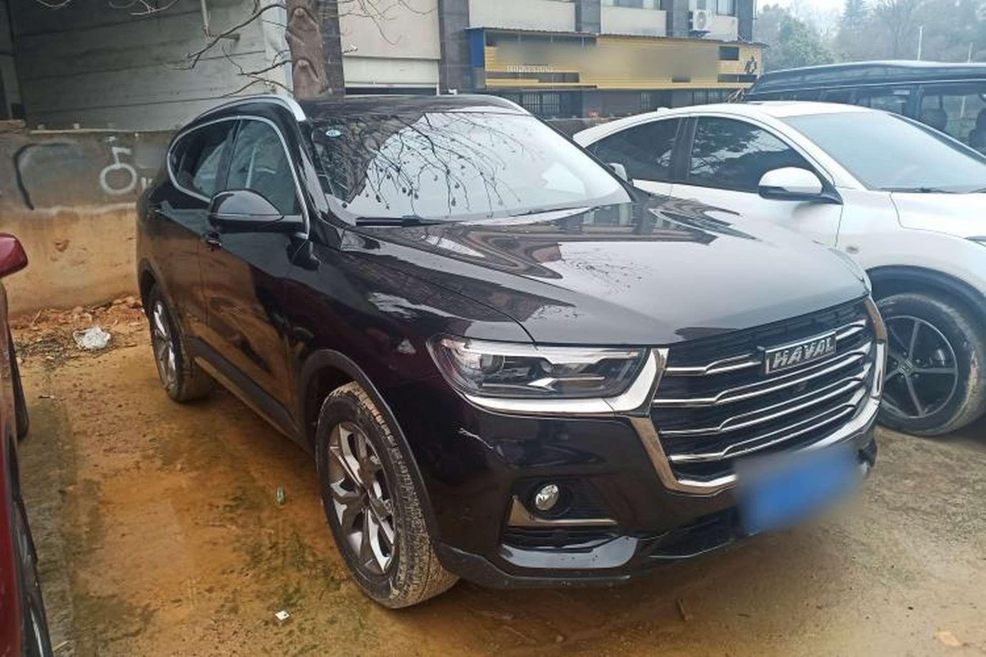 Used Haval H6 2021 National Trend Edition 1.5T Automatic Champion Version Front Right 45 Deg