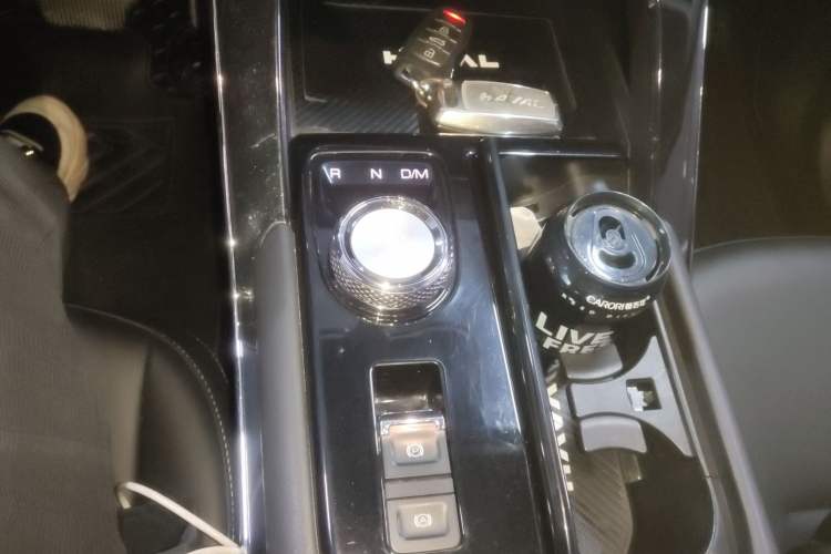 Used Haval H6 2021 3rd Generation 2.0T Automatic Two-Wheel Drive Max Gear Lever
